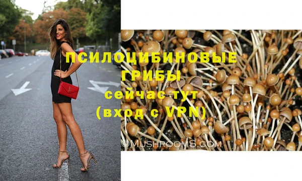 Альфа ПВП Каменск-Шахтинский