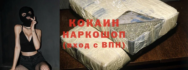 гидра Каменногорск