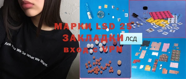 ГАЛЛЮЦИНОГЕННЫЕ ГРИБЫ Каменка