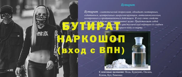 гидра Каменногорск