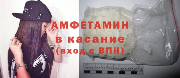 гидра Каменногорск