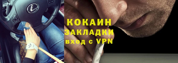 ГАЛЛЮЦИНОГЕННЫЕ ГРИБЫ Каменка