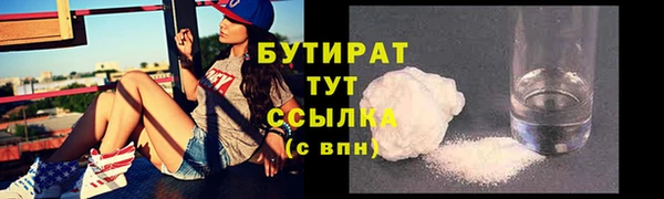 гидра Каменногорск