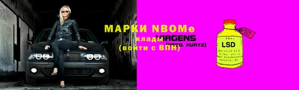 ГАЛЛЮЦИНОГЕННЫЕ ГРИБЫ Каменка