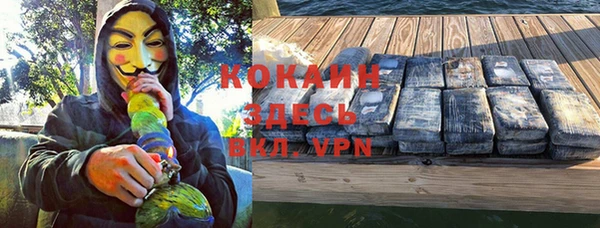 гидра Каменногорск