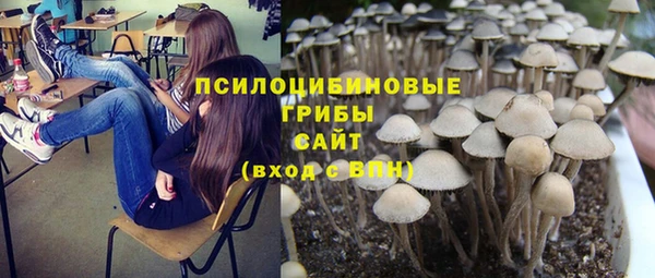 Альфа ПВП Каменск-Шахтинский