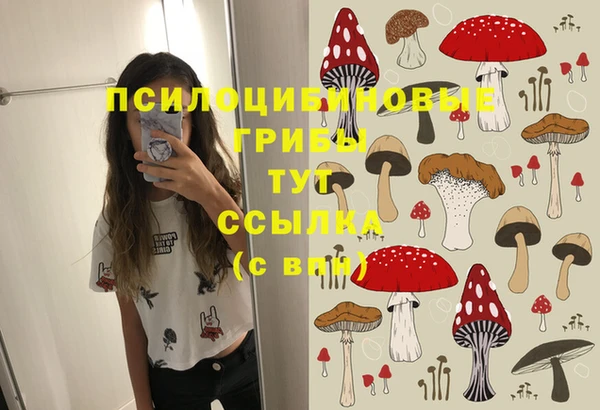 гидра Каменногорск