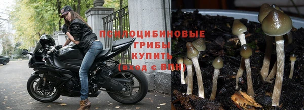 Альфа ПВП Каменск-Шахтинский