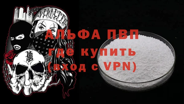 ГАЛЛЮЦИНОГЕННЫЕ ГРИБЫ Каменка