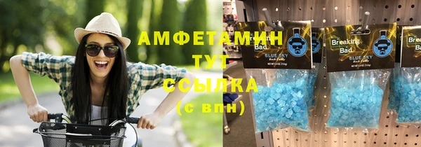 гидра Каменногорск