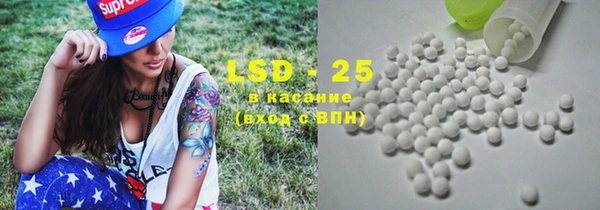 гидра Каменногорск