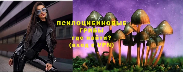 ГАЛЛЮЦИНОГЕННЫЕ ГРИБЫ Каменка