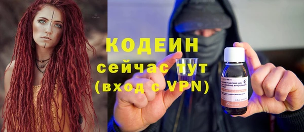 ГАЛЛЮЦИНОГЕННЫЕ ГРИБЫ Каменка